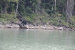 resIMG_20170716_174154_8758.JPG